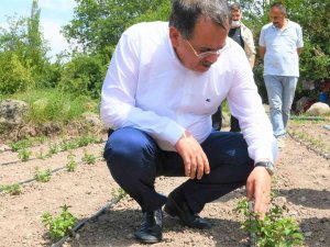 Başkan Demir: “Bir Karış Toprak Bile Boş Kalmamalı”