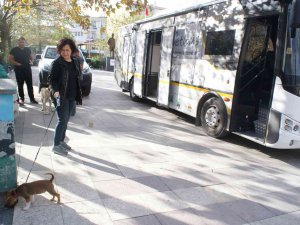 Vetbüs Can Dostlara Sağlık Hizmeti Sunuyor