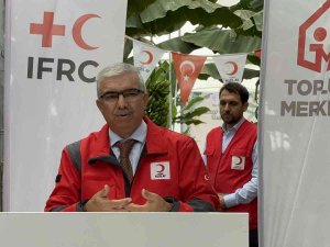 Kızılay, Reyhanlı’da “Muz Hasadı” Gerçekleştirdi