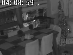 Pendik’te Depremi Papağan Böyle Hissetti