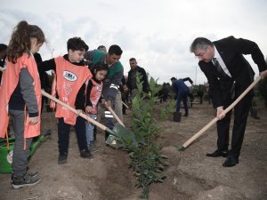Şehit Öğretmen Ayşenur Alkan Adına Fidan Dikildi