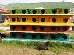 Sokak Hayvanlarına Dubleks Ve Tripleks Yuva