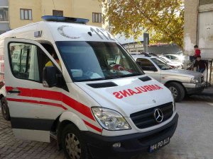 Kedileri Kovalarken Balkonda Düştü