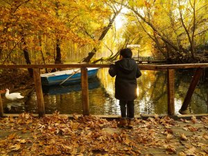 Mardin’de Sonbahar Görsel Şöleni