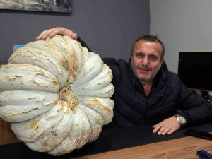 Gençlere Örnek Olmak İçin Kabak Ekti 200 Bin Tl Gelir Elde Etti