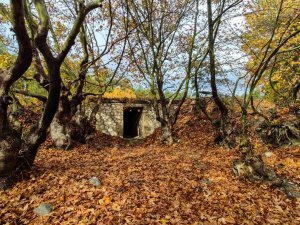 Gördes’te Sonbahar Manzaraları Mest Etti