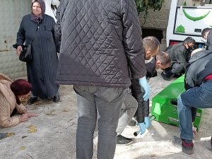 Yalnız Yaşadığı Evinde Ölü Bulundu