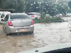 Bodrum’da Öğrenciler, Evlerine Gönderildi