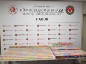 Habur Sınır Kapısı’nda Bini Aşkın Elektronik Sigara Ele Geçirildi