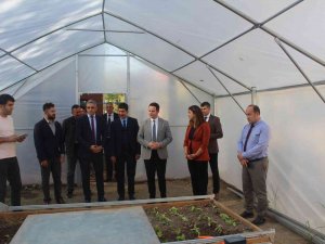 Milli Eğitim Müdürü Çay, Köyceğiz’de Tarım Uygulamalarına Katıldı