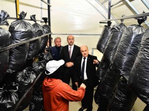 Samsun’daki Bu Tesis Sayesinde Mantar Zehirlenmeleri Azalacak