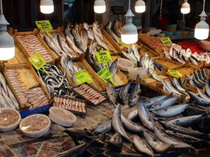 Bandırma’da Balık Fiyatları Lodos Ve Soğuk Hava Nedeniyle Yükseldi