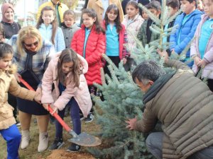 Vali Ergün’ün Öğretmen Eşi ‘Öğretmenler Günü’nü Fidan Dikerek Kutladı