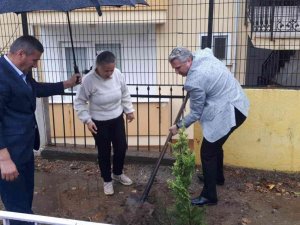 Edremit’te Eylül Ayında Vefat Eden Öğretmen Adına Okuluna Fidan Dikimi Yapıldı