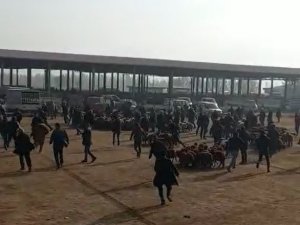 Mezbahaneden Kaçan Boğa Hayvan Pazarını Birbirine Kattı: 1 Yaralı