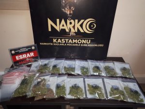 Kastamonu’da Uyuşturucuyla Yakalanan Şahıs Tutuklandı