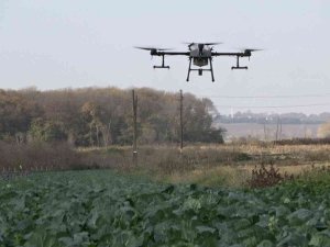 Tarlalar Dronla İlaçlanıyor