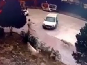 Başakşehir’de Sokak Köpeklerinin Bir Adamı Kovaladığı Anlar Kamerada