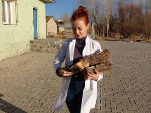 Fedakar Öğretmen Soba Yakıyor, Sınıfı Temizliyor