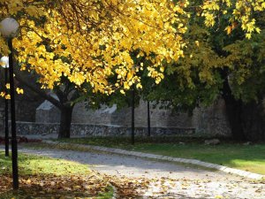 Sonbaharın Renklerine Bürünen Pınarbaşı, Görenleri Mest Ediyor