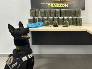 Narkotik Köpeği ’İ̇da’ İş Başında