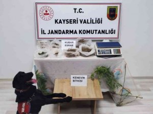 Evinin Bahçesinde Uyuşturucu Üreten Şahıs Yakalandı