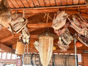 Kaz Yumurtası İle Kaz Yağı Tam Bir Şifa Kaynağı