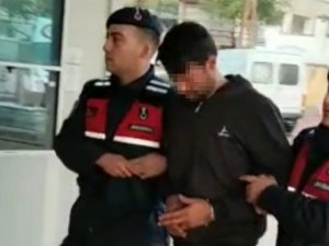 Çiftçilerin Kabusuna ‘Yarasa Avı’ Operasyonu