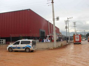 Cips Fabrikasında Çıkan Yangın Korkuttu