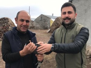 Kars’ta Sakarmeke Tedavi Altına Alındı