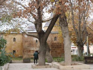 Ahi Evran Türbesinde Sonbahar Mest Etti, Tavsiyeleri 800 Yıldır Yaşıyor