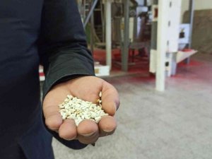 Eskişehir’de Tohum Saklama Ve Gem Bankası