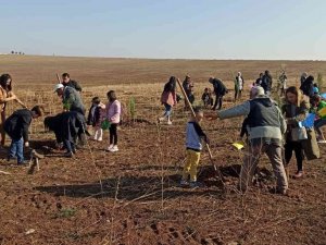 Dicle Üniversitesi 750 Ağaç İle Yeşillendirildi