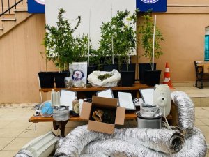 Büyükada’da Uyuşturucu İmalatı Yapılan Evde 15 Kök Kenevir Ele Geçirildi
