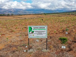 Bayrampaşalı Öğretmenler, “Türkiye Yüzyılına Nefes” Oldu