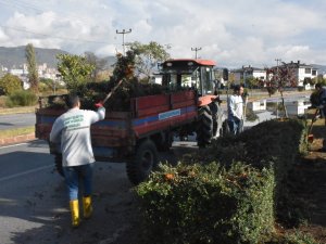 Edremit’te Sonbahar Çalışmaları Devam Ediyor