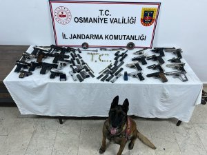 Jandarmanın Arama Yaptığı Evden Cephanelik Çıktı