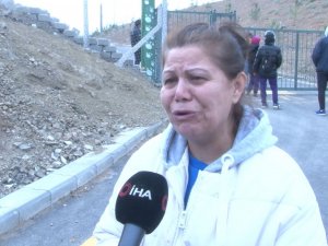 Mamak Belediyesinin Köpekleri Öldürme İddiası Hayvanseverleri Ayağa Kaldırdı