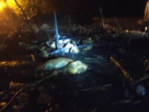 Göçerlerin Çadırında Yangın Çıktı, 55 Küçükbaş Telef Oldu