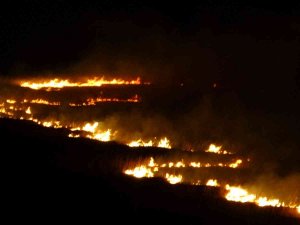 Yüksekova’nın Kuş Cenneti 4 Gündür Alev Alev Yanıyor