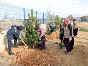 Jandarma Karakol Bahçesine Ağaç Dikti