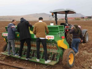 Taşımalı Eğitim Gören ‘Liseli Çiftçiler’ Tarımda Üretim Merkezi Olma Yolunda