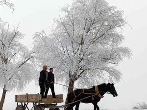 Doğu Anadolu’nun Yüksek Kesimlerinde Kar Yağışı