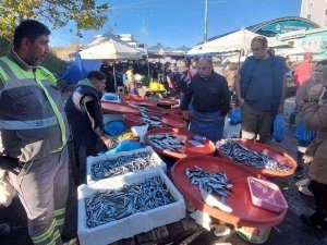 Hamsinin Fiyatı Düştü