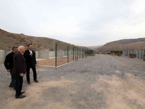 Can Dostlar İçin Yeni Barınak