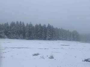 Yedigöller Beyaz Örtüyle Kaplandı