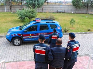 10 Ayrı Suç Kaydı Bulunan Firari Hükümlü Mısır Tarlasında Yakalandı