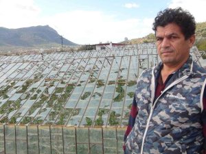 Mersin’de Dolu Felaketinde Cam Seraları Yerle Bir Oldu