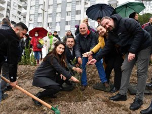 Çiğli’de 346 Kadın İçin Zeytin Fidanları Toprakla Buluşturuldu