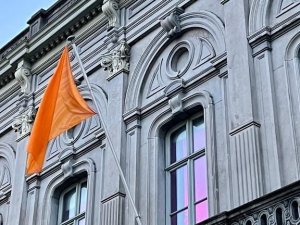 Ab’den Kadına Yönelik Şiddete Karşı "Dünyayı Turuncuya Boya" Kampanyasına Destek
